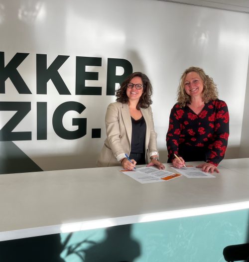 Samenwerking Emma at work